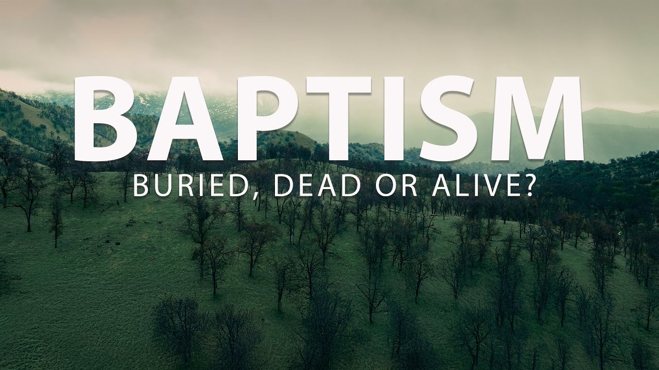 Baptism: Buried, Dead or Alive? video thumbnail
